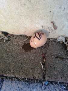 Humpty  Dumpty fell off a wall...